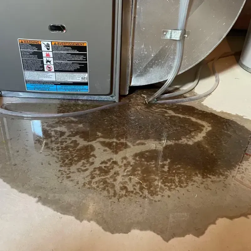 Appliance Leak Cleanup in Canton, MS